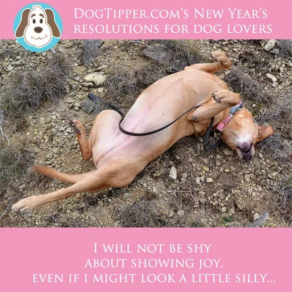 resolution-joy