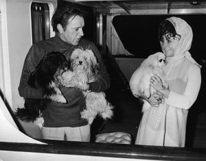 ElizabethTaylor_8
