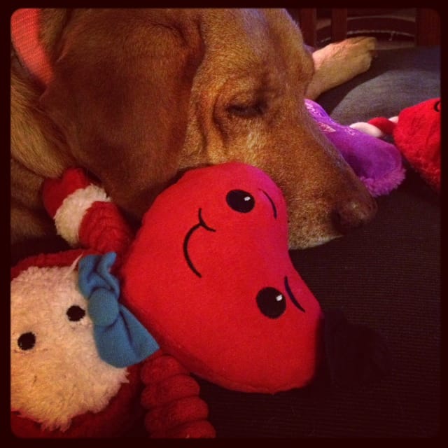 Skype Shares Valentine’s Video