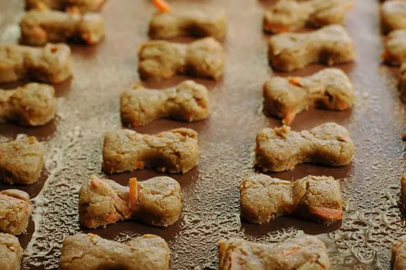 baking homemade dog treats