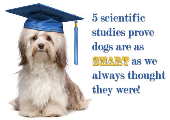 scientific-studies