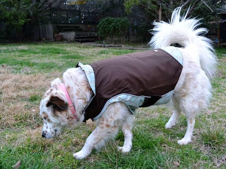 Review: #Kurgo Portsmouth Walking Coat