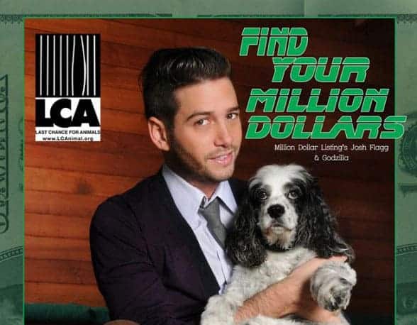 Last-chance-for-animals