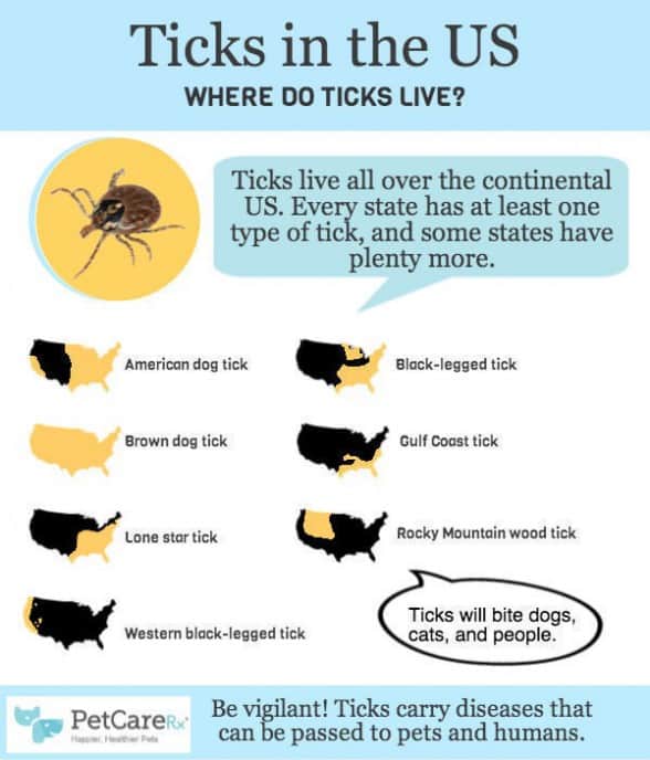 Types-of-Ticks-in-the-US-Infographic