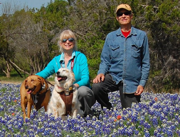 us-bluebonnets-dogsWEB