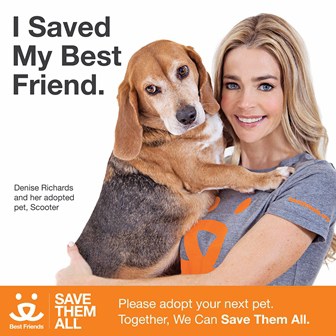APPROVED - Denise Richards - STA Ad_WEB