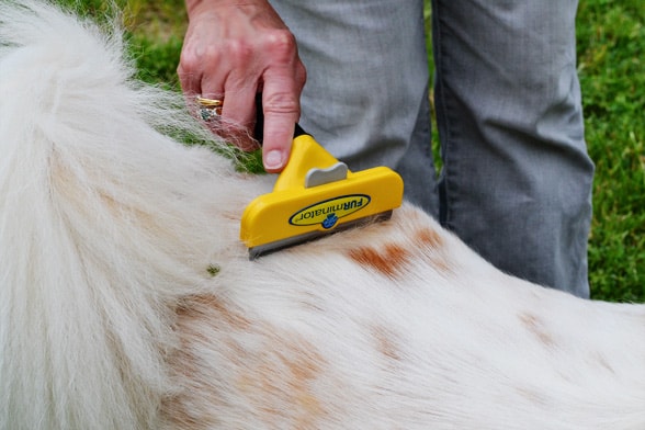 using furminator on long hair dog