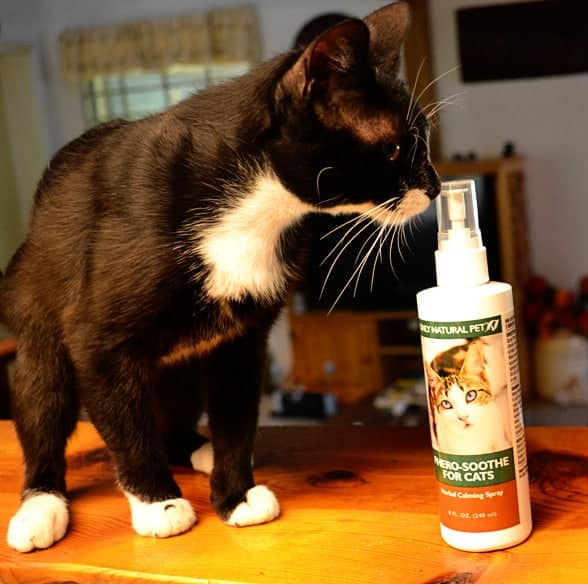 Review Natural Pet Products from Only Natural Pet PawNatural