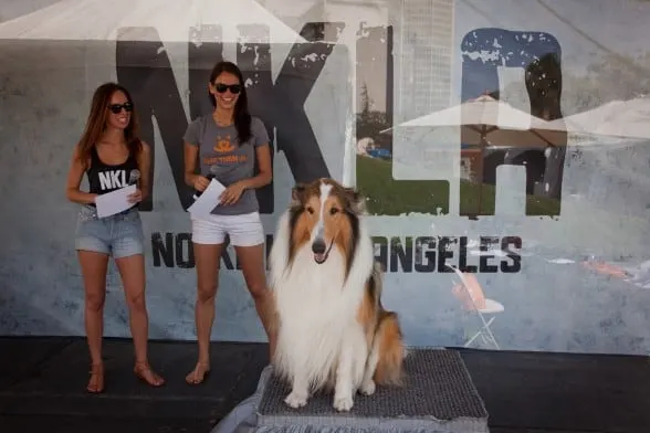 NKLA-AdoptionWeekendIMG_7473