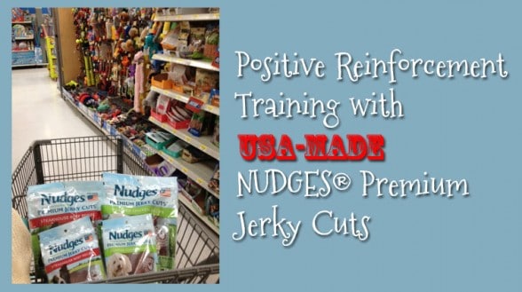 nudges-walmart-banner