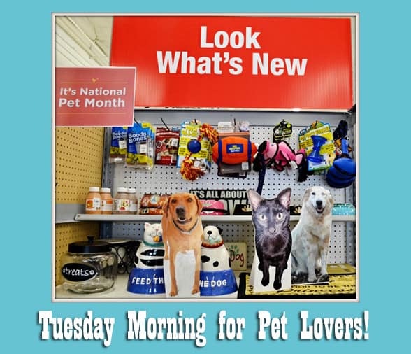 Shopping for Pet Products at Tuesday Morning