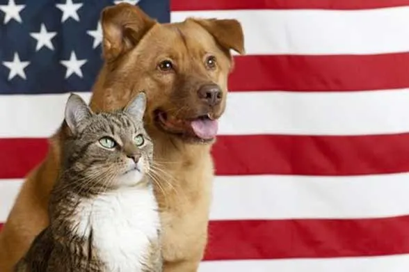 Dog-and-cat-with-flag