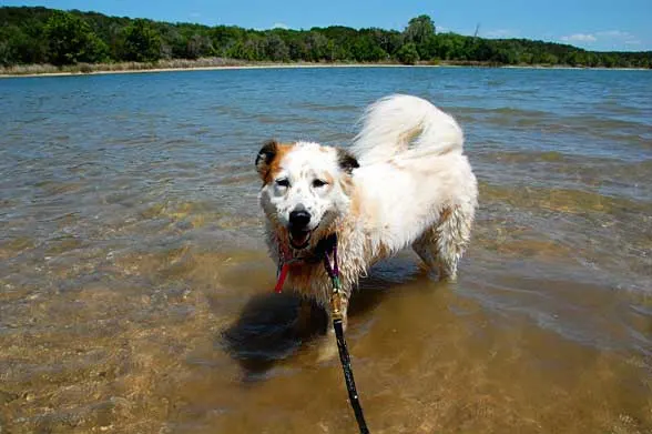 cleburne state park texas