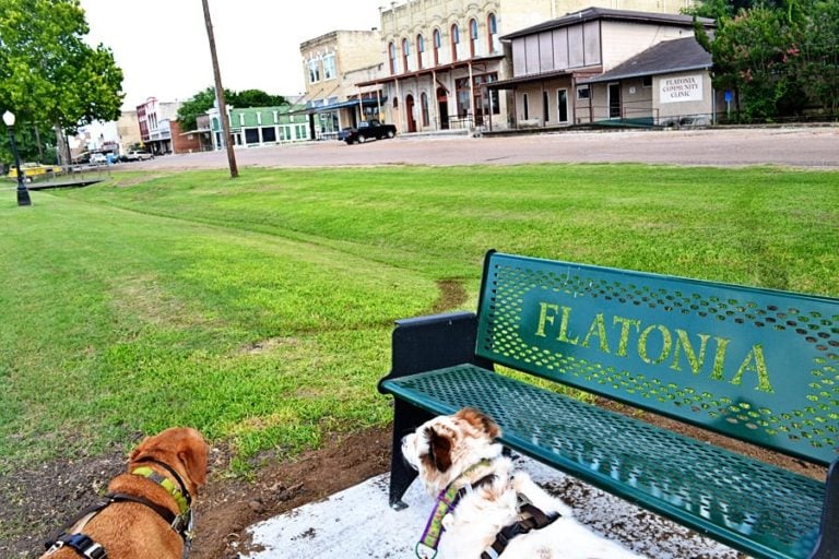 Our Visit to Flatonia, Texas #TexaswithDogs