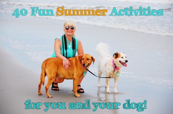 summer activities to celebrate dog day