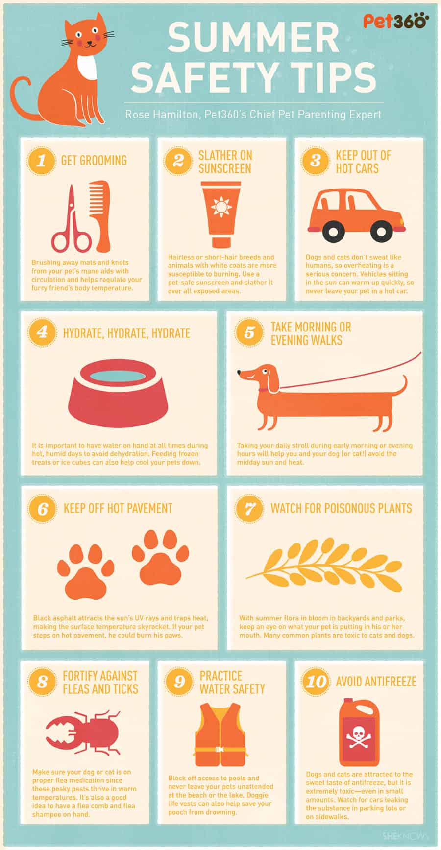 Pet360_summer_safety