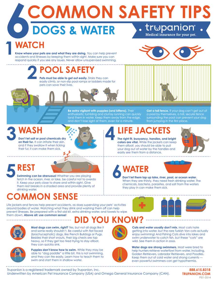 Trupanion-Water-Safety-Infographic---8