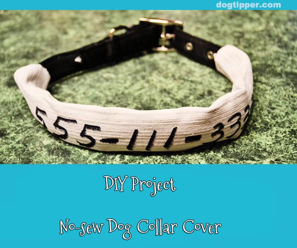 Make a No-Sew Collar Cover