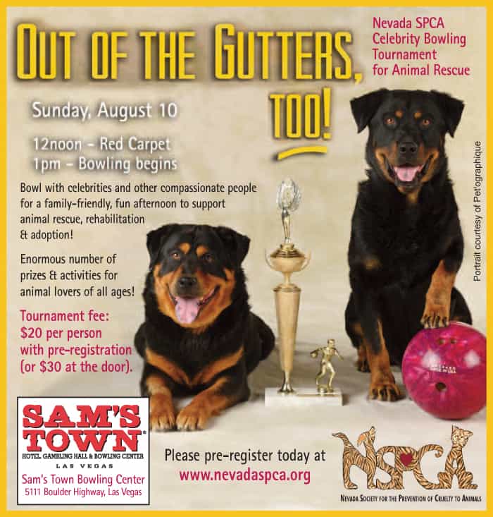 Celebrities to Help Nevada SPCA at Out of the Gutters, Too