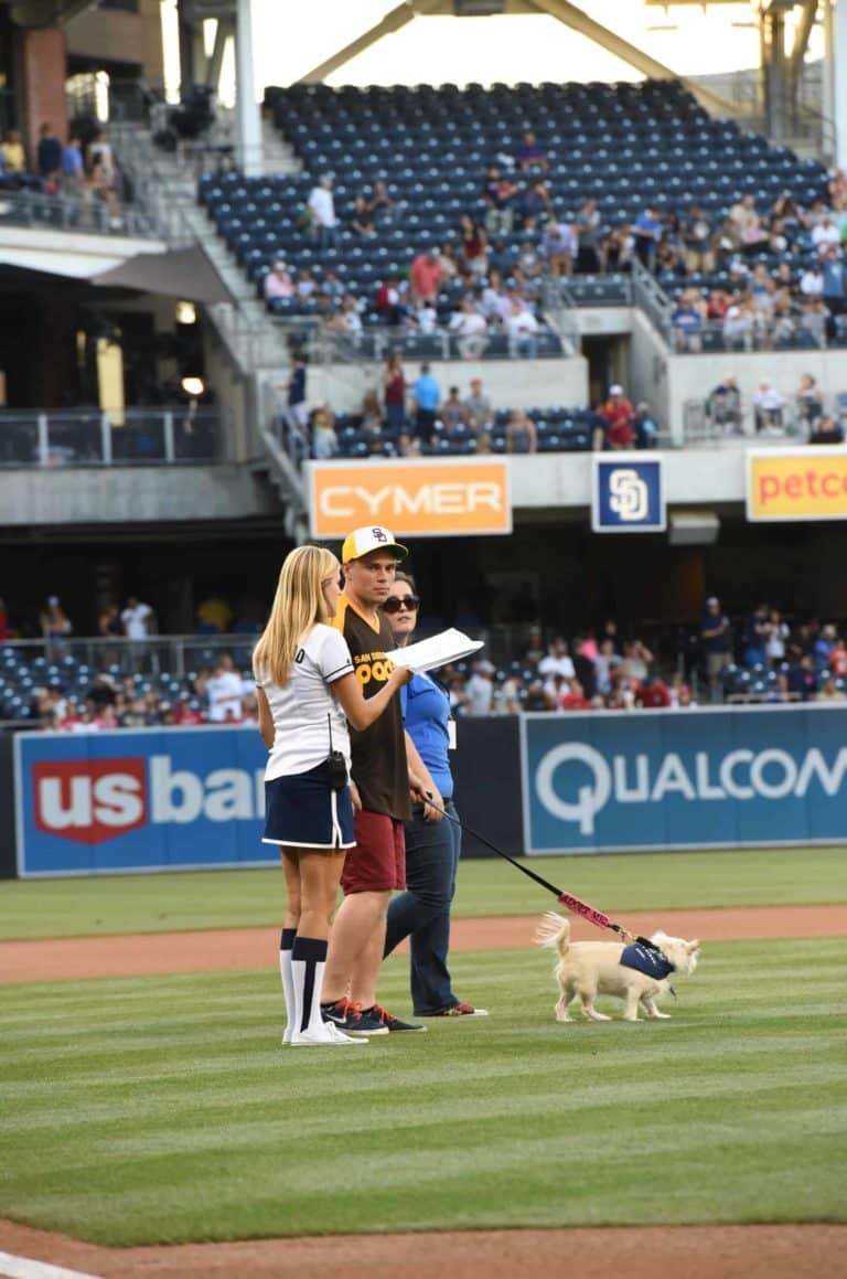 Olympic Silver Medalist Gus Kenworthy Promotes Pet Adoption