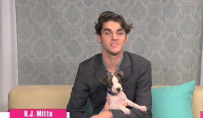 Breaking Bad Star Shines Spotlight on Animal Haven