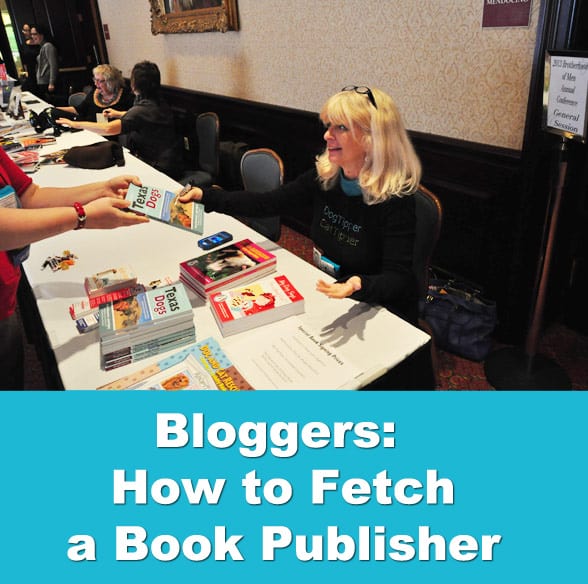 bloggers-book-publisher-title