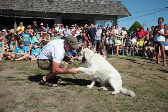 Stars to Help Pets in Need at Dog Pageant