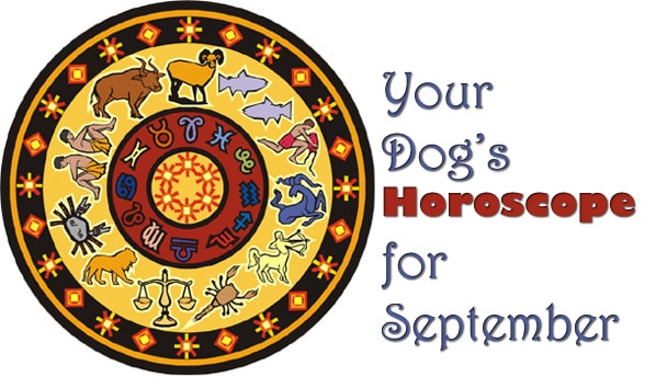 dog-horoscope-sept