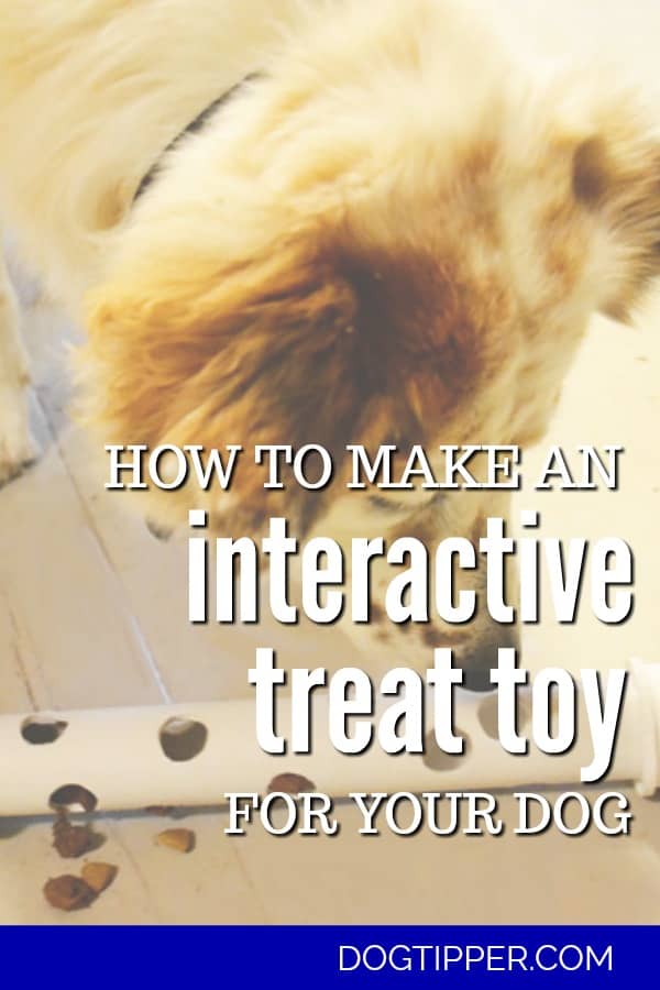 How to Make an Interactive Dog Toy