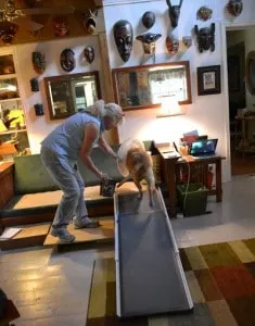 irie-ramp-indoors