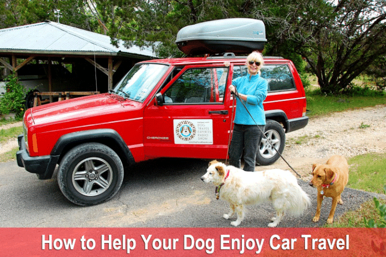10 Ways to Help Your Dog Enjoy Car Travel