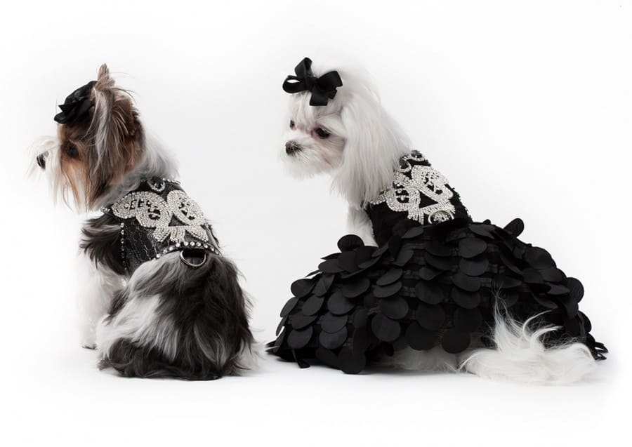 HP Holiday 2014 crystal butterfly matching boy-girl yvette ruta
