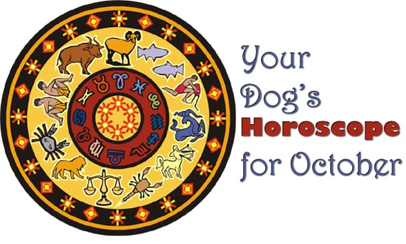 dog-horoscope-oct