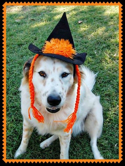 Halloween costume safety-hat-tiki