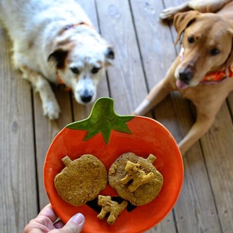 Peanut Butter and Pumpkin Dog Treats