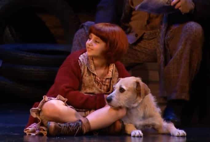 National Tour of Annie Helps Stray Rescue of St. Louis