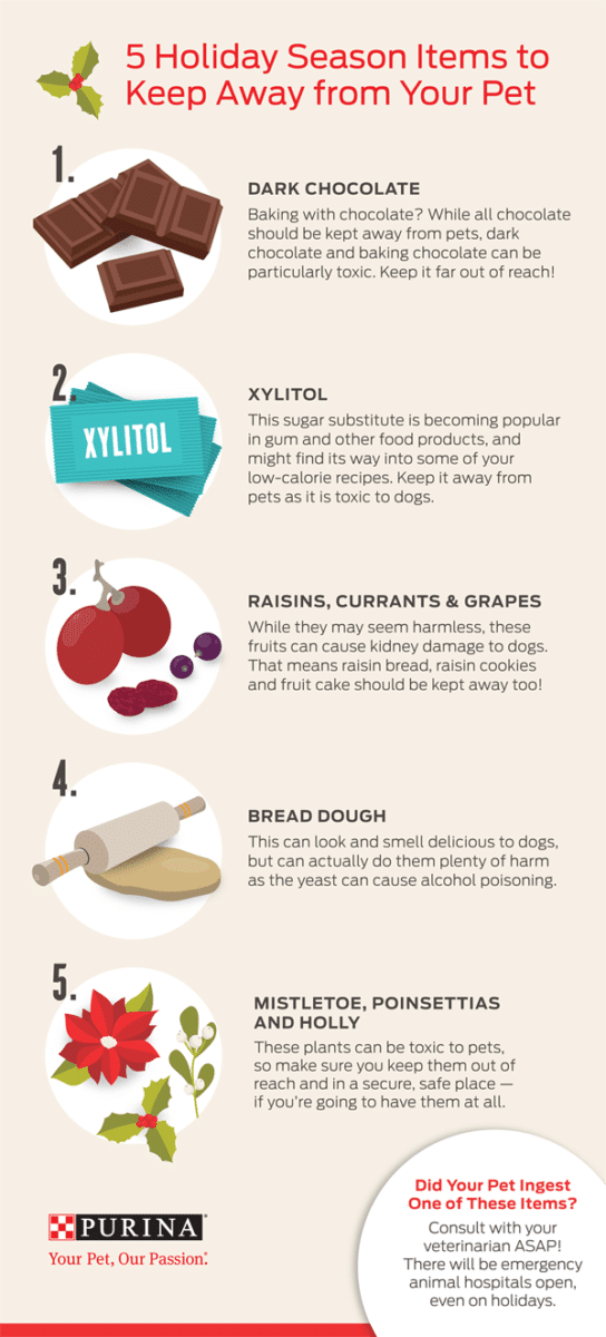 HolidayDangers_Infographic_12-04