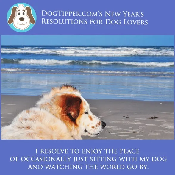 resolutions-beachWEB