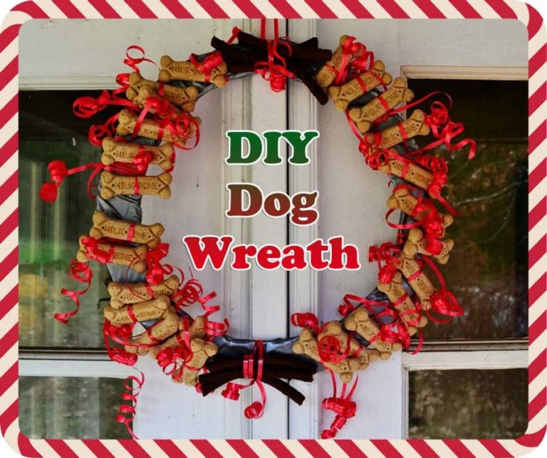 DIY Dog Wreath to #TreatthePups