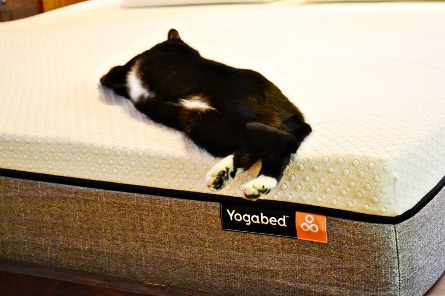 lucky-stretching-yogabed