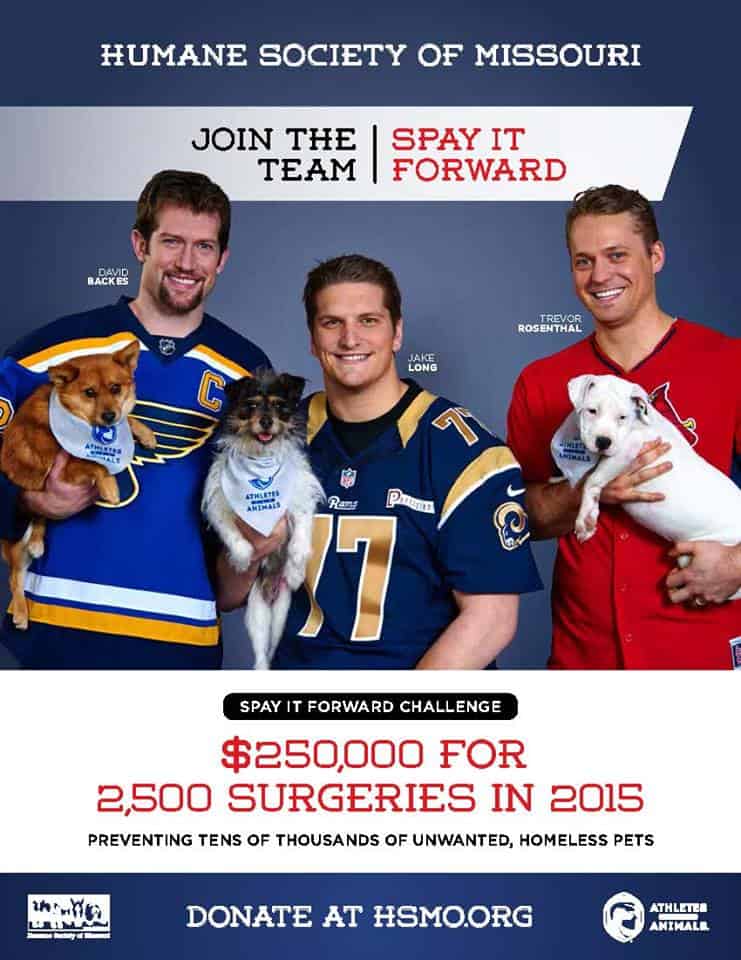 Sports Stars Promote Spay It Forward Campaign