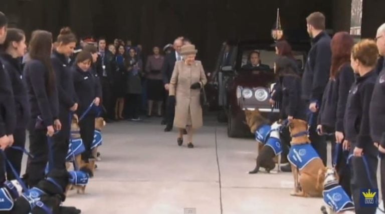 2015 in Review: Royals to the Rescue