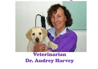 Veterinarian Dr. Audrey Harvey