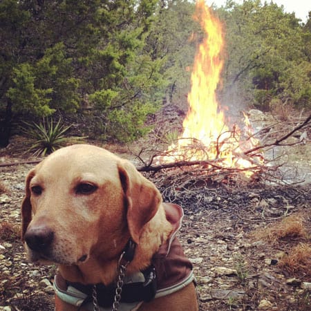 irie-brush-burning450