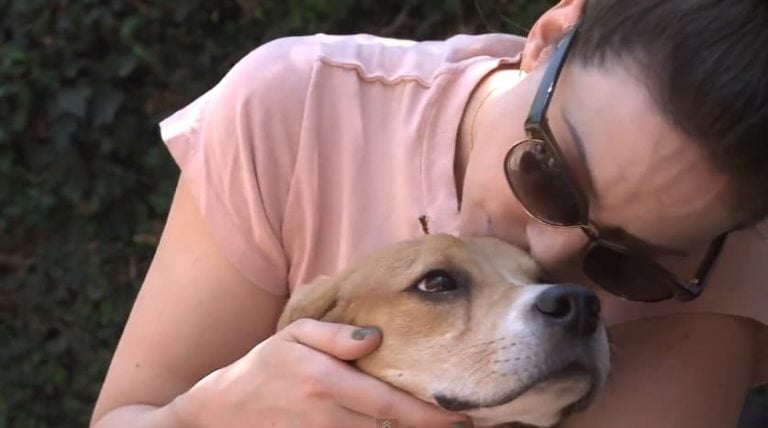 Stars Assist ARME’s Beagle Freedom Project’s Operation April