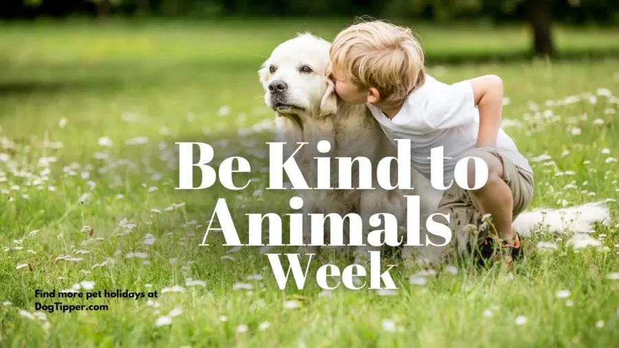 Be Kind to Animals Week- First week in May