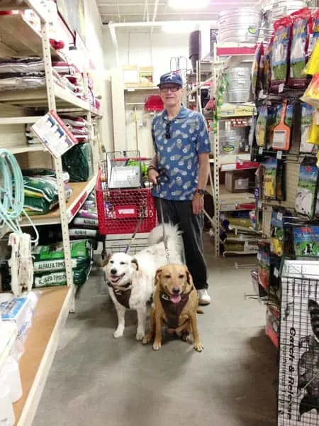 Our dogs at Tractor Supply