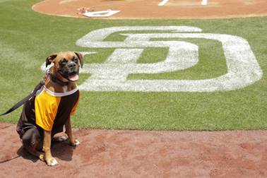 Fwd_ Lil Jon & Bucky Lasek Throw Out First Pitches at Petco's 11th Annual _Dog Days of Summer_ Event Today