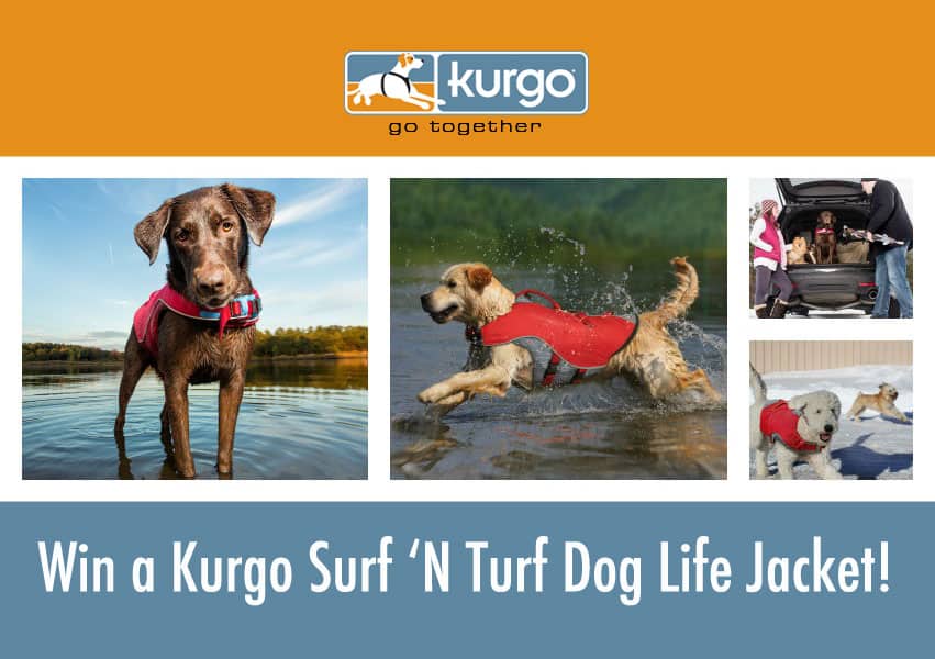 kurgo-dog- life jacket-collage