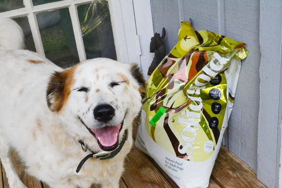 tiki-smiling-solid-gold